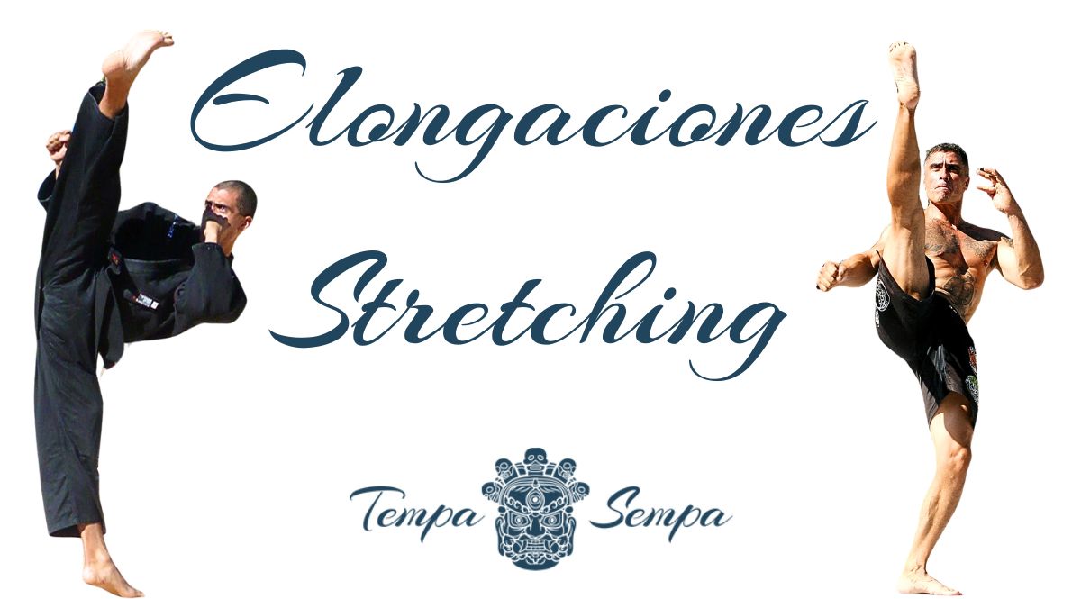 Elongaciones y Flexibilidad (stretching): Complemento Perfecto para tu Bienestar