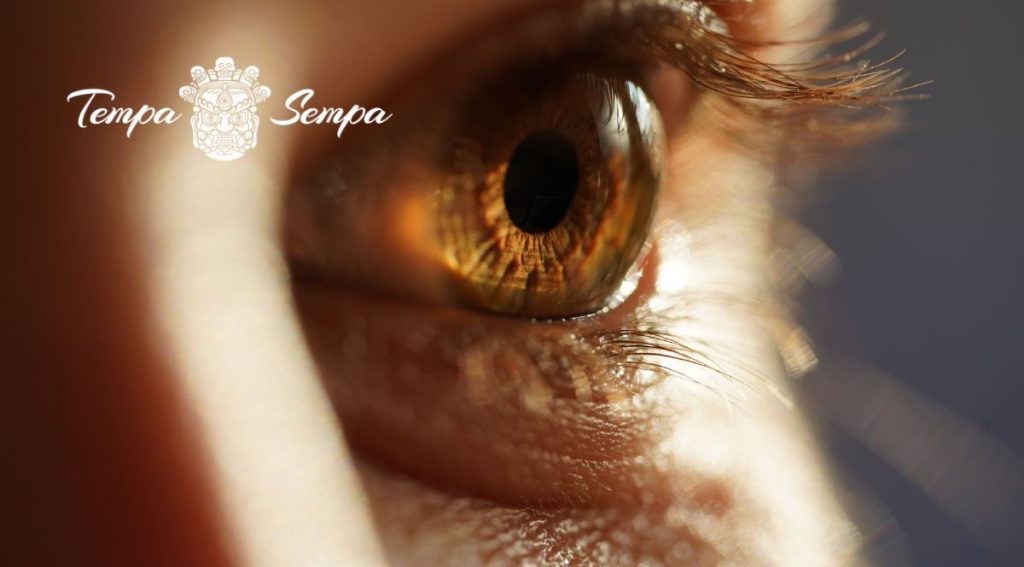 Visión penetrante de la realidad para ampliar tu visión de las cosas.