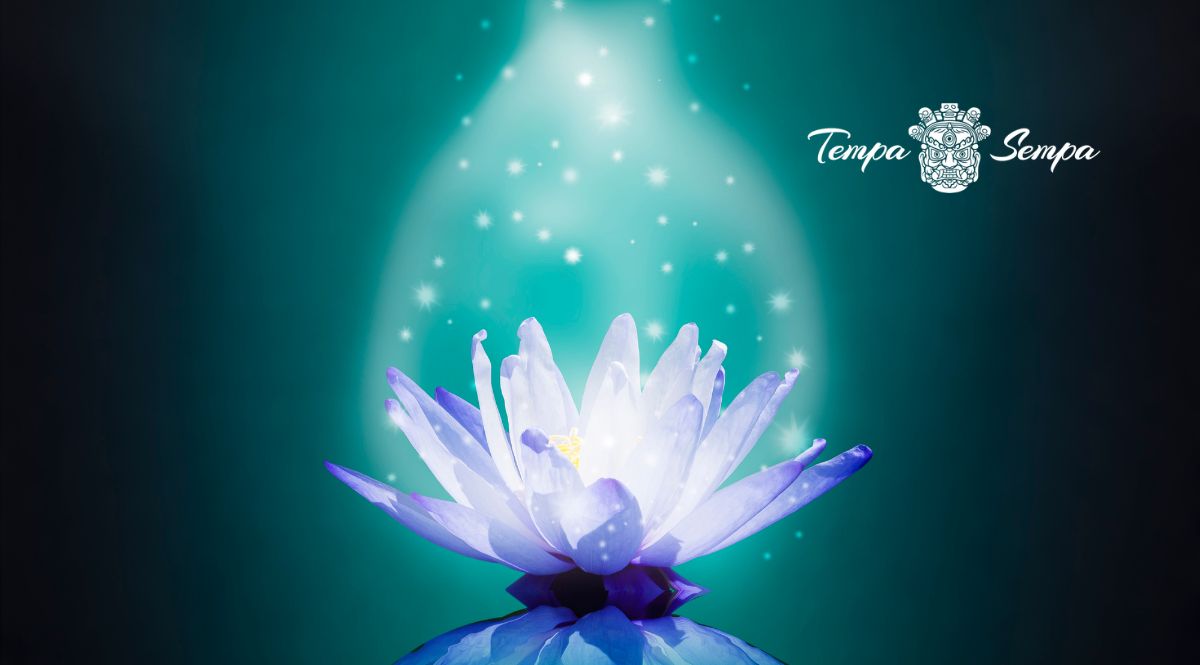 "Clase en directo de meditación guiada desde casa con guía profesional."