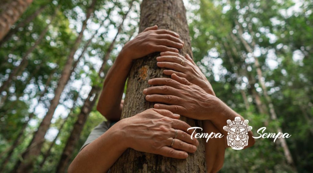 abrazando un tronco de arbol para sentir mayor conexión