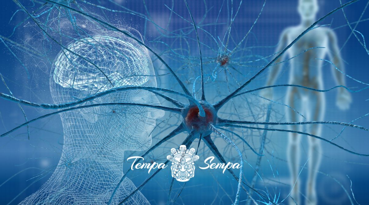 la conexión entre la mente y el cuerpo no deja de sorprender a la ciencia en la actualidad